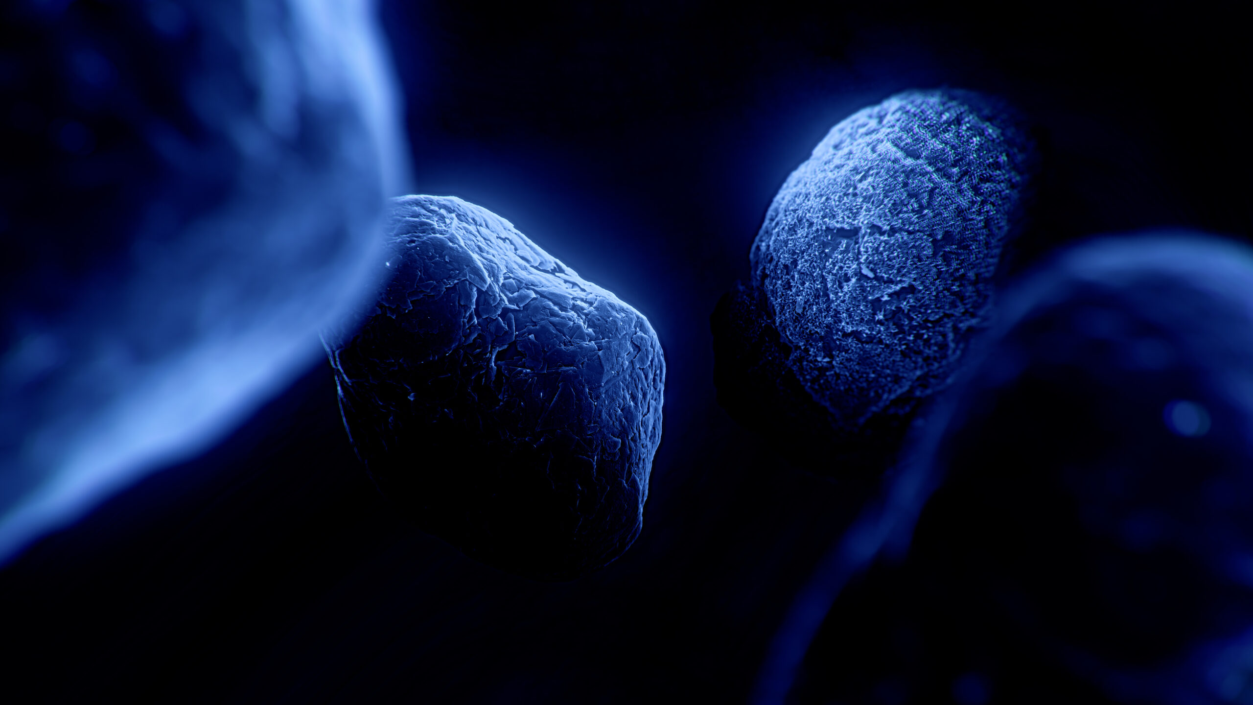 Coated Uncoated Particles Hero Image 1 Scaled